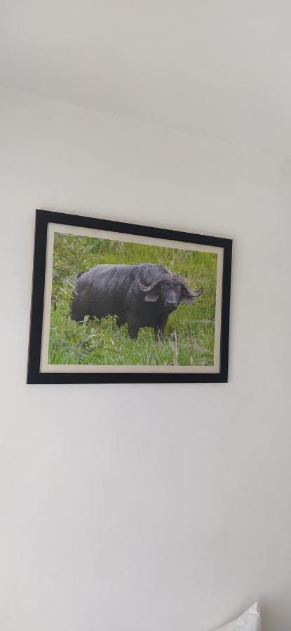 Plus254 Hotel Nairobi Dış mekan fotoğraf